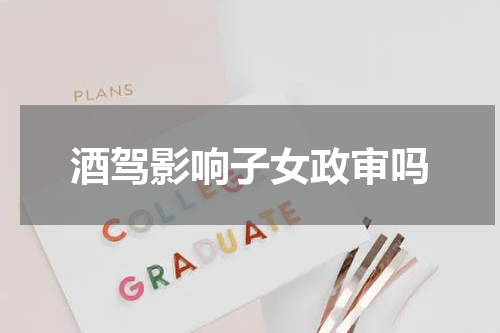 酒驾影响子女政审吗