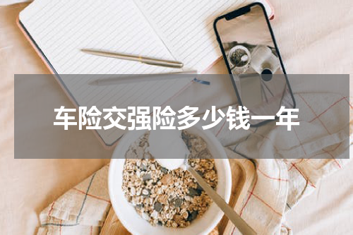 车险交强险多少钱一年