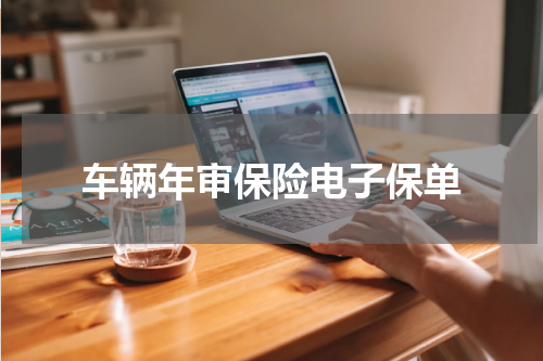 车辆年审保险电子保单