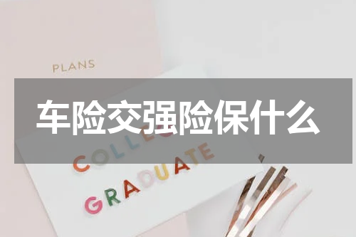 车险交强险保什么