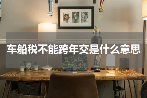 车船税不能跨年交是什么意思