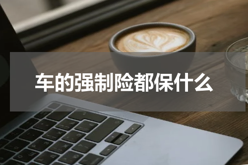 车的强制险都保什么