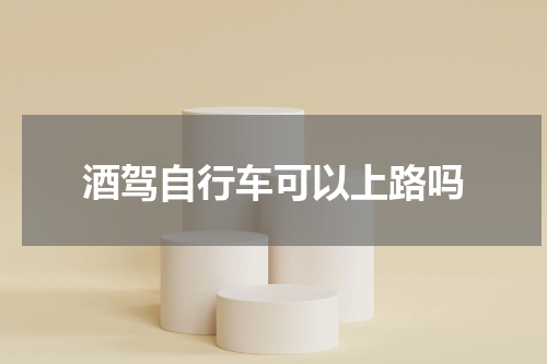 酒驾自行车可以上路吗