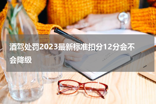 酒驾处罚2023最新标准扣分12分会不会降级