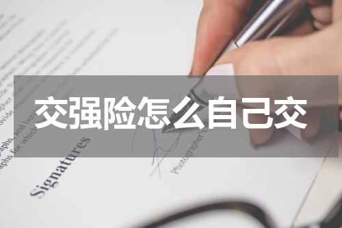 交强险怎么自己交
