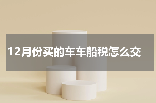 12月份买的车车船税怎么交