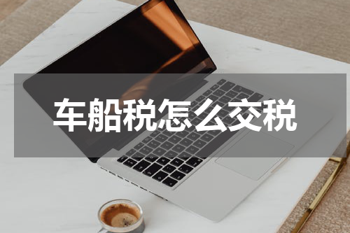 车船税怎么交税