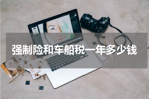 强制险和车船税一年多少钱