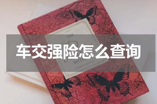 车交强险怎么查询