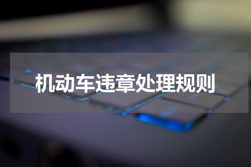 机动车违章处理规则