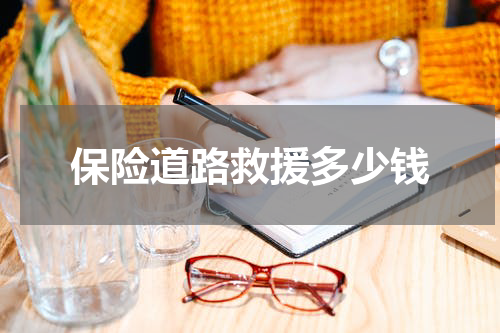 保险道路救援多少钱