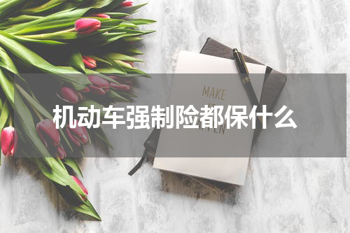 机动车强制险都保什么