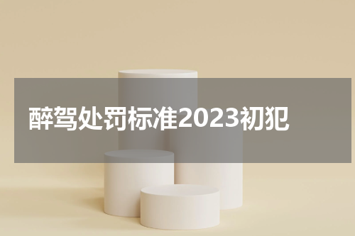 醉驾处罚标准2023初犯