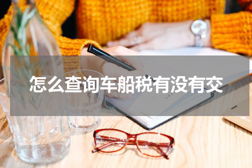 怎么查询车船税有没有交
