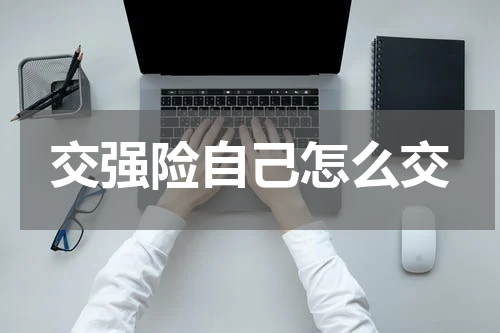交强险自己怎么交