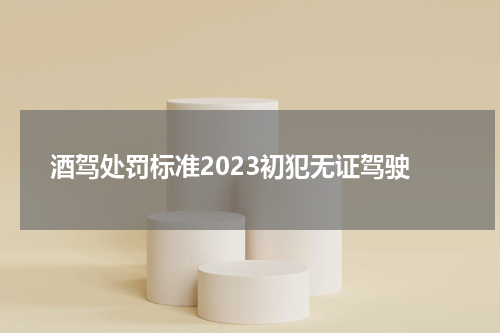 酒驾处罚标准2023初犯无证驾驶