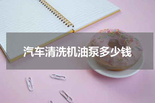 汽车清洗机油泵多少钱