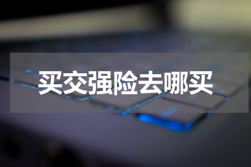 买交强险去哪买