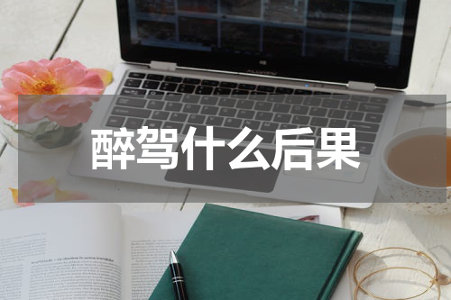 醉驾什么后果