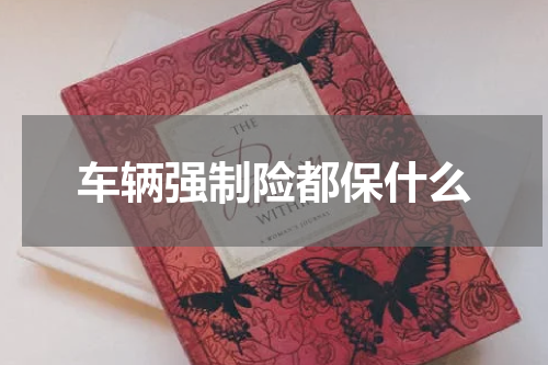 车辆强制险都保什么