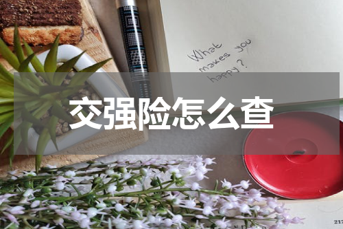 交强险怎么查