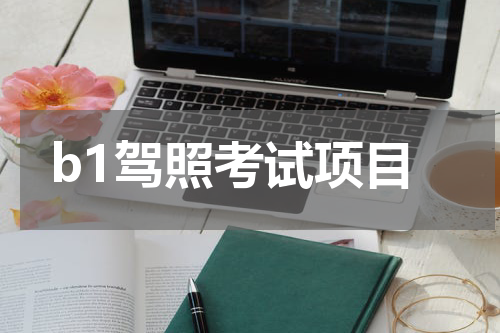b1驾照考试项目