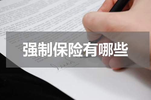 强制保险有哪些