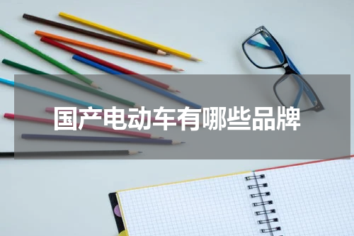 国产电动车有哪些品牌
