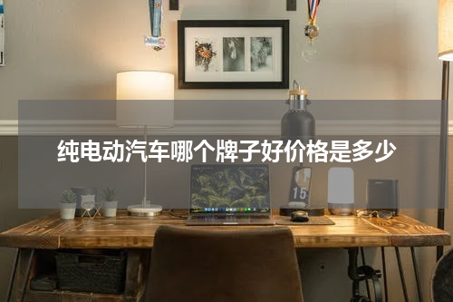 纯电动汽车哪个牌子好价格是多少