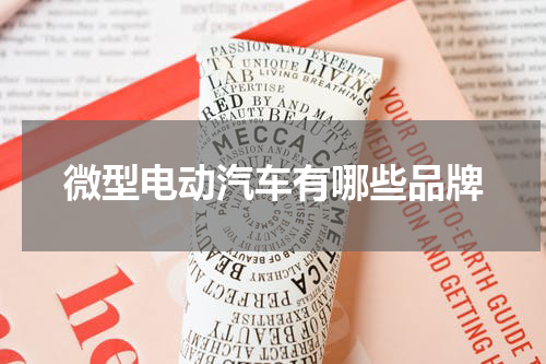 微型电动汽车有哪些品牌
