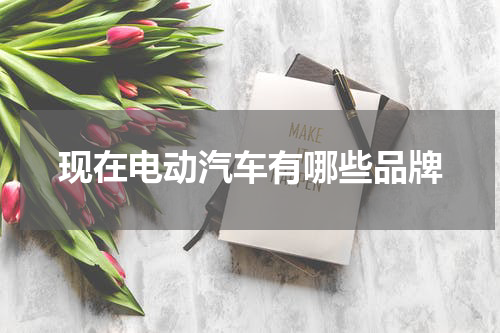 现在电动汽车有哪些品牌
