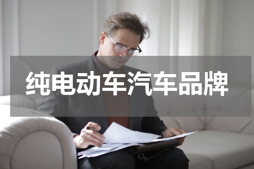 纯电动车汽车品牌
