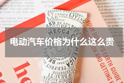 电动汽车价格为什么这么贵