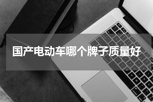 国产电动车哪个牌子质量好