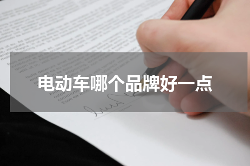 电动车哪个品牌好一点