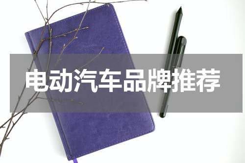 电动汽车品牌推荐