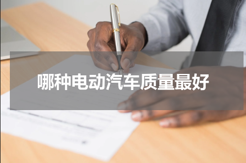 哪种电动汽车质量最好