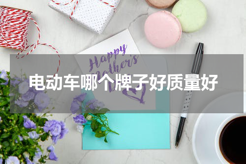 电动车哪个牌子好质量好