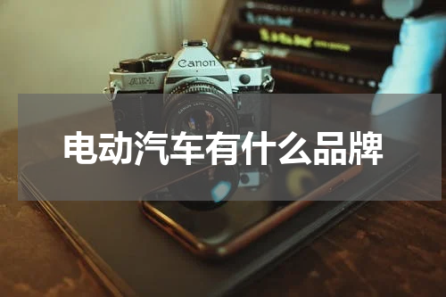 电动汽车有什么品牌