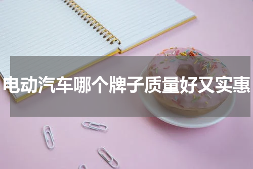 电动汽车哪个牌子质量好又实惠