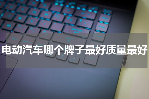 电动汽车哪个牌子最好质量最好