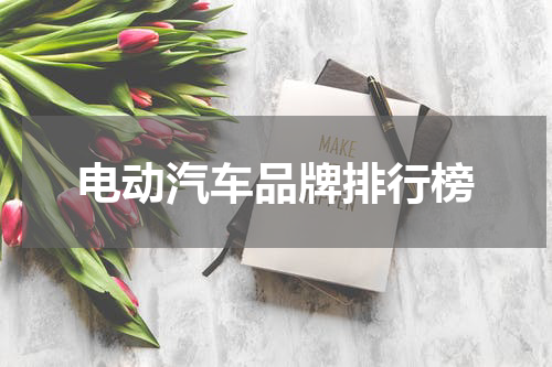 电动汽车品牌排行榜