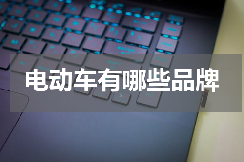 电动车有哪些品牌