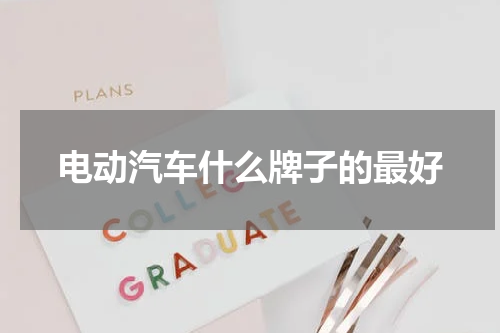 电动汽车什么牌子的最好