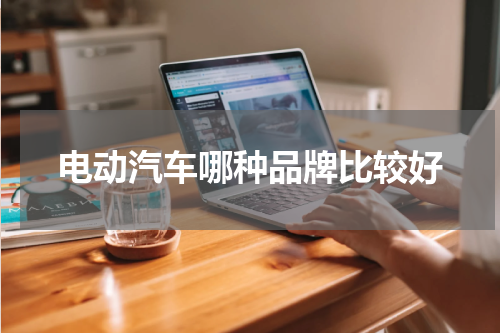 电动汽车哪种品牌比较好