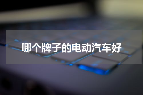 哪个牌子的电动汽车好