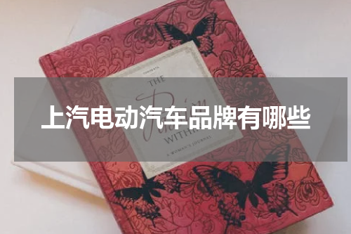 上汽电动汽车品牌有哪些