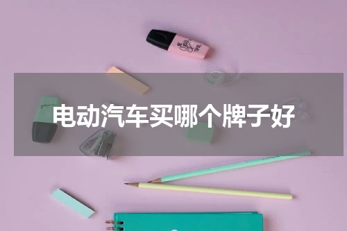 电动汽车买哪个牌子好
