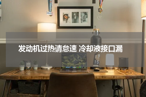 发动机过热请怠速 冷却液接口漏