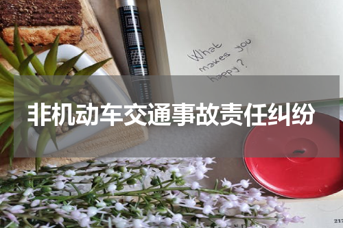 非机动车交通事故责任纠纷